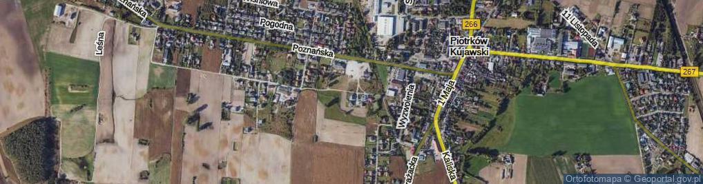 Zdjęcie satelitarne Wierzbowa ul.